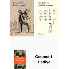 Metis Yayınları Byung - Chul Han 2 Kitap Seti + Geometri Hediye