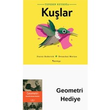 Domingo Yayınevi Tepeden Kuyruğa - Kuşlar + Geometri Hediye