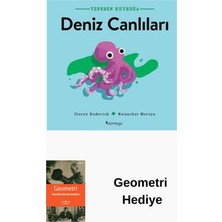 Domingo Yayınevi Tepeden Kuyruğa - Deniz Canlıları + Geometri Hediye