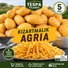 Tespa Ticaret Agria Kızartmalık Patates 5 kg | Doğal Yerli Agria Patates | Restoran Kalitesi, Sarı, Çıtır Kızartmalık