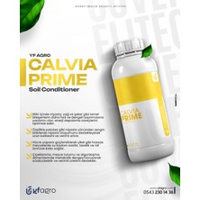Calvıa Prıme 5 Lt (Kalsiyum Asetat)