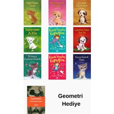Pegasus Holly Webb 9 Kitap Seti + Geometri Hediye