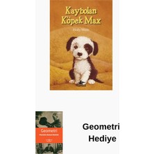 Pegasus Kaybolan Köpek Max + Geometri Hediye