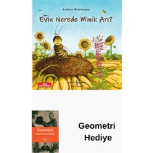 İş Bankası Kültür Yayınları Evin Nerede Minik Arı? Bilgi Sayfalarıyla + Geometri Hediye