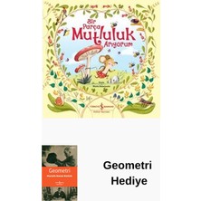 İş Bankası Kültür Yayınları Bir Parça Mutluluk Arıyorum + Geometri Hediye