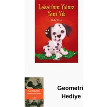 Pegasus Lekeli'nin Yalnız Yeni Yılı + Geometri Hediye