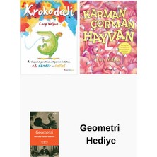 Domingo Yayınevi Lucy Volpin 2 Kitap Seti + Geometri Hediye