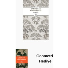İthaki Yayınları Candide Ya Da Iyimserlik ve Micromegas + Geometri Hediye