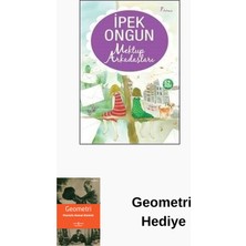 Artemis Yayınları Mektup Arkadaşları + Geometri Hediye