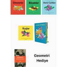 Domingo Yayınevi Stacey Roderick 5 Kitap Seti + Geometri Hediye
