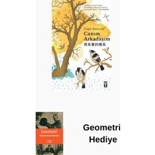 Genç Timaş Canım Arkadaşım + Geometri Hediye