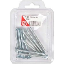 Erdo Ticaret Yhb 4,8X60 10 Lu Pk Matkap Uçlu Vida