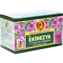 Erdo Ticaret Ekinezya Bitki Çayı 20 Süzen Poşet