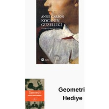 Metis Yayınları Kocanın Güzelliği - 29 Tangoda Kurgusal Bir Deneme + Geometri Hediye
