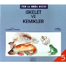 Kök Yayıncılık Iskelet ve Kemikler