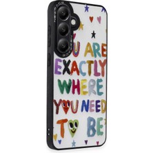 Ozkr Store Samsung Galaxy S24 Kılıf Mirror Desenli Kapak - Mirror - 10