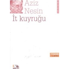 Nesin Yayınevi It Kuyruğu