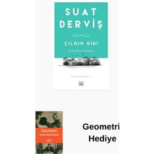 İthaki Yayınları Çılgın Gibi + Geometri Hediye