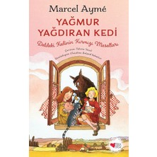 Can Çocuk Yayınları Yağmur Yağdıran Kedi 1. Kitap