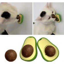 Mabelme Store Avokado Dönen Kedi Nanesi Cat Oyun Topu Doğal Kedi Oyuncağı