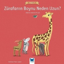 Mavi Kelebek Yayınları Zürafanın Boynu Neden Uzun?