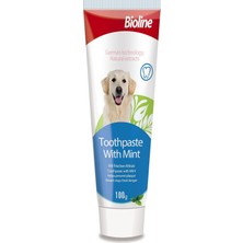 Zemira Bioline Nane Aromalı Macunu 100 gr