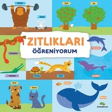Bookalemun Yayınevi Zıtlıkları Öğreniyorum