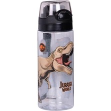 Zemira 593041 500ML Matara 2878 * 72