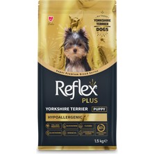 Zemira Plus Yorkshire Terrier Yavru 1.5 kg