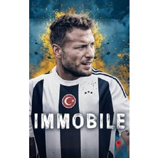 Peta Kitap Ciro Immobile