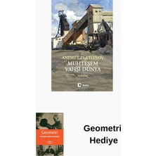 Metis Yayınları Muhteşem Vahşi Dünya + Geometri Hediye