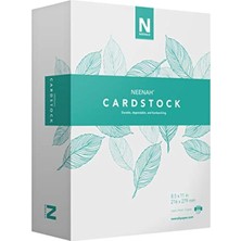 Zemira Neenah Vellum Bristol Kartvizit, Hafif, 325 Yaprak, 70LB/147 Gsm, 94 Parlaklık, 8,5" x 11" - Daha F