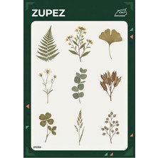 Zemira Zupez Botanik Transfer Tasarım, Ütüyle Uygulamalı Kumaş Transfer, Doğa Temalı Dekoratif Baskı, Prem