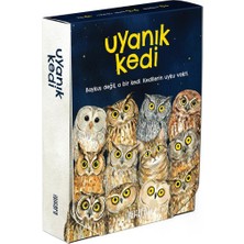 Zemira Uyanık – Eşleştirme Kart Oyunu | Baykuşları Eşleştir, Kediden Kurtul, Oyunu Kazan | 2-6