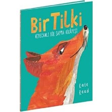 Beta Kids Bir Tilki Heyecanlı Bir Sayma Hikayesi