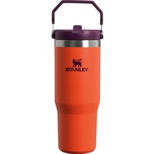 Zemira Iceflow Flip Straw Tumbler Pipetli Termos Bardak, 0.89 L