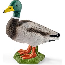 Zemira Schleich Farm Erkek Ördek, Figür, ‎5 x 2.9 x 4.5 Cm, 3+ Yaş