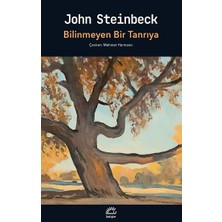 İletişim Yayınları Bilinmeyen Bir Tanrıya