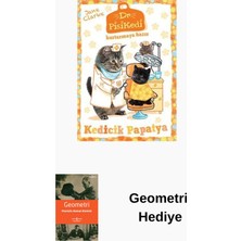 Pegasus Dr. Pisikedi Kurtarmaya Hazır-Kedicik Papatya + Geometri Hediye