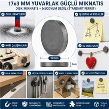 Ozkr Store Mıknatıs 17X3 mm Yuvarlak Güçlü Mıknatıs Disk Mıknatıs