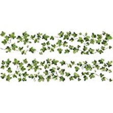 Zemira Roommates 27 x 12,7 x 2,3 cm "klettern Ivy" Duvar Çıkartması Tekrar Kullanılabilir