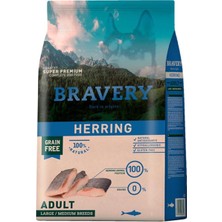 Zemira Bravery Orta Büyük Irk Ringa Balıklı 12 kg