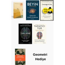 Domingo Yayınevi David Eagleman 5 Kitap Seti + Geometri Hediye