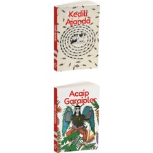 Fol Kitap Fol Ajanda Seti (2'li - Tarihsiz)