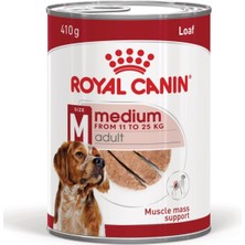 Zemira Medium Adult Can Yetişkin Yaş 410G
