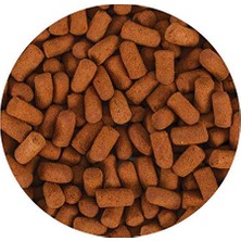 Zemira Tropical Line Fish Kovadan Bölme 100GR