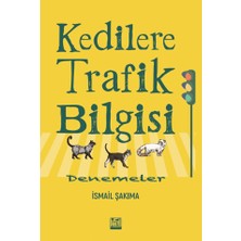 Kadim Yayınları Kedilere Trafik Bilgisi ;denemeler