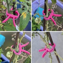 Zemira Bitki Bağlama Destek Mandalı 10 Adet Orta Boy (Pembe)