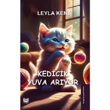 Vaveyla Yayıncılık Kedicik Yuva Arıyor