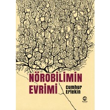 Nova Kitap Nörobilimin Evrimi